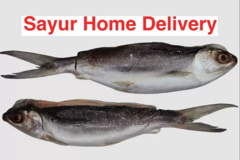 Ikan Bandeng cabut duri /ekor